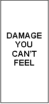 Text Box: DAMAGE
YOU
CANT
FEEL
